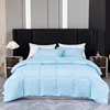 Sky-blue quilt-90 gsm