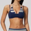 Dark Blue Stripebra
