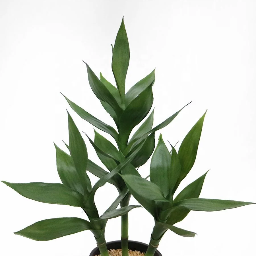55cm High Artificial Lucky Bamboo Plant Decorative Lucky Bamboo Wholesale