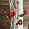 Kumquat rosso