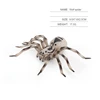 Wolf spider