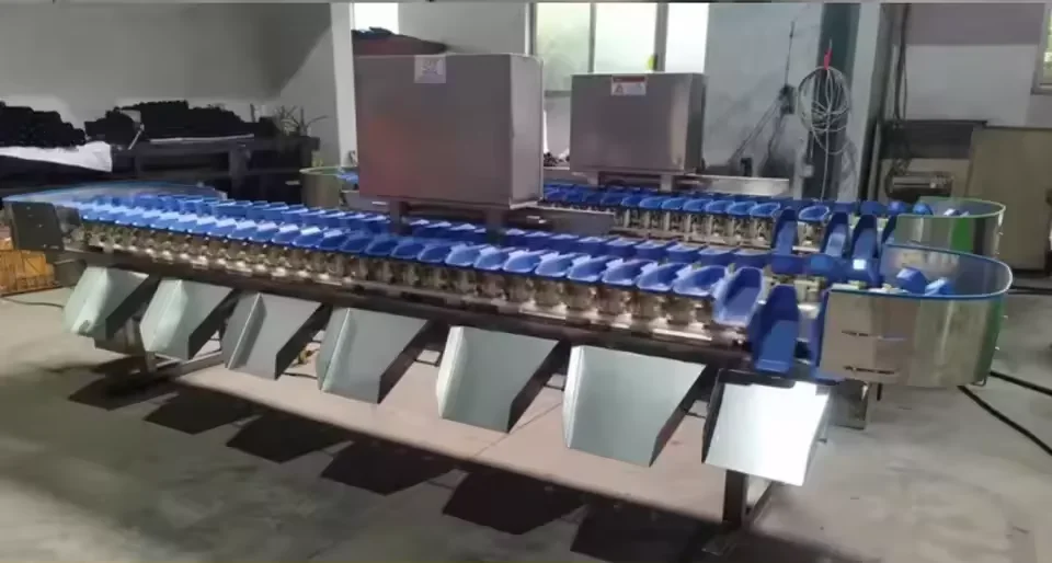 Professional Factory Crayfish Sorting Machine By Weight Fish