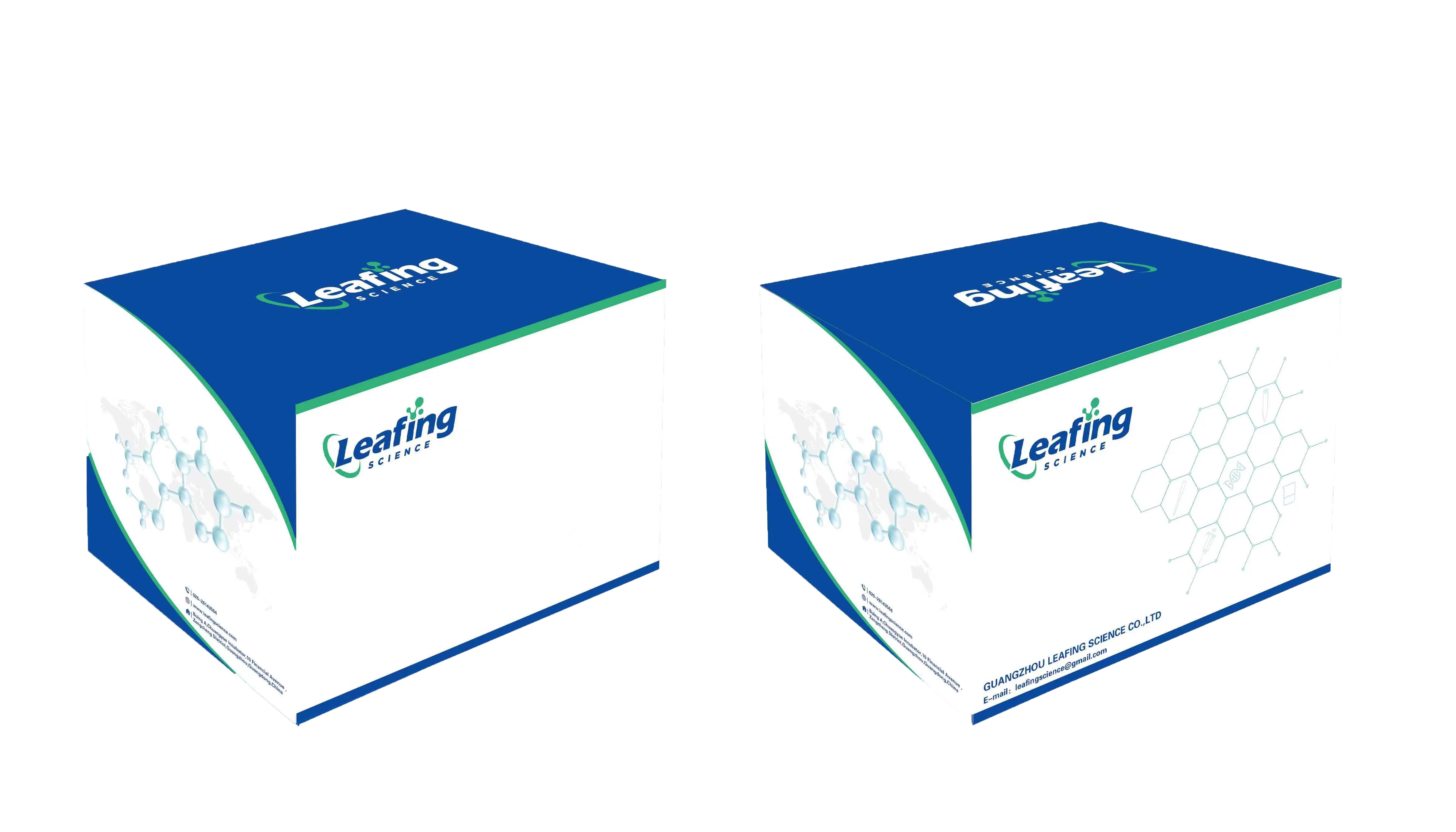 Medical Laboratory Consumables Disposable Vacuum Filter Sterile 250 Ml