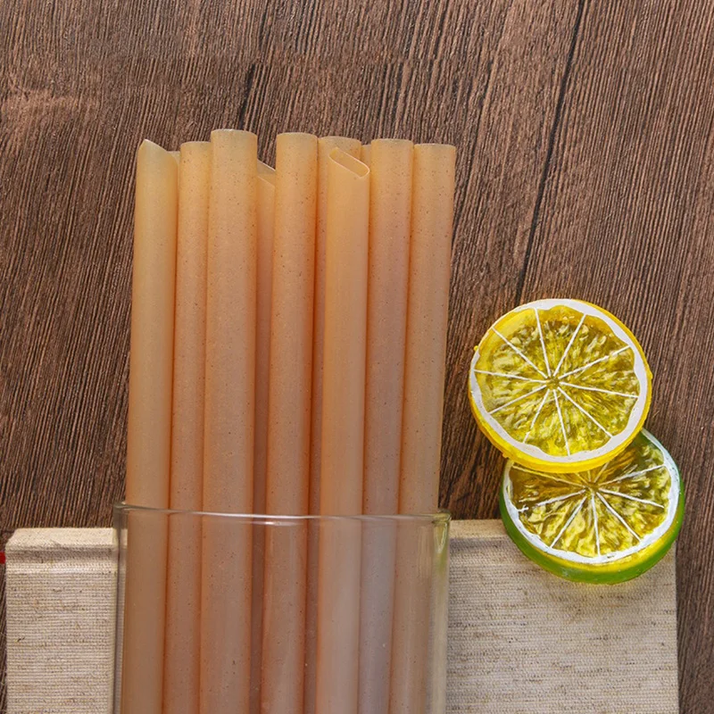 Pailles de canne à sucre biodégradables
