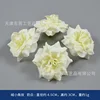 Small, velvety rose blossoms, milky white