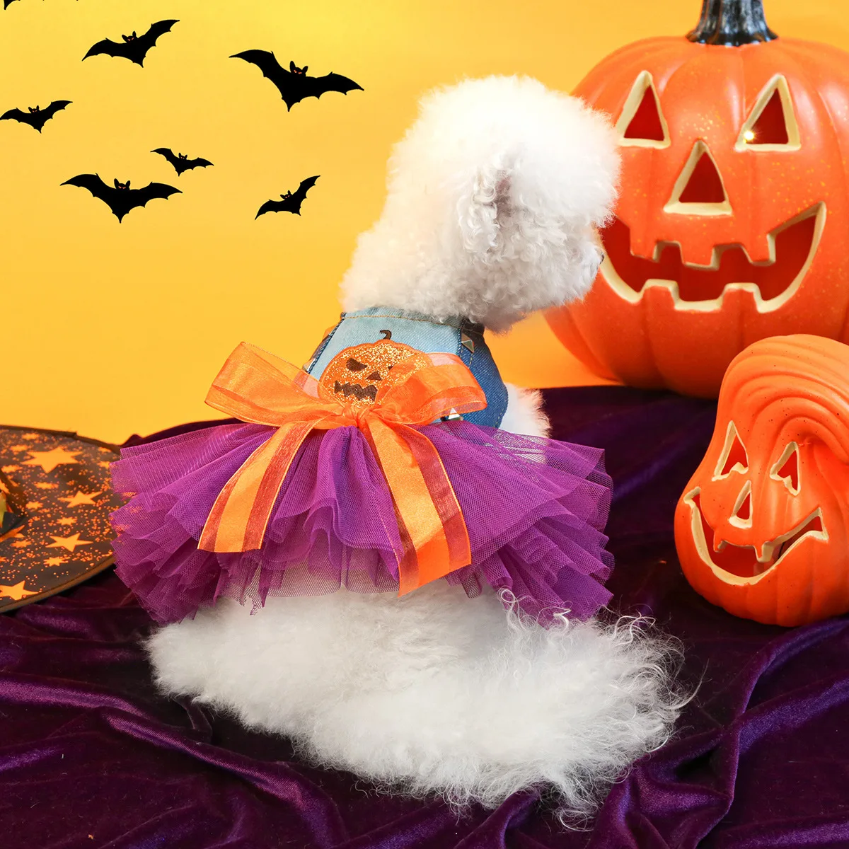 Zucca Vestiti Di Halloween Per Gatti Costume Da Suora Per Cani E - Main Image