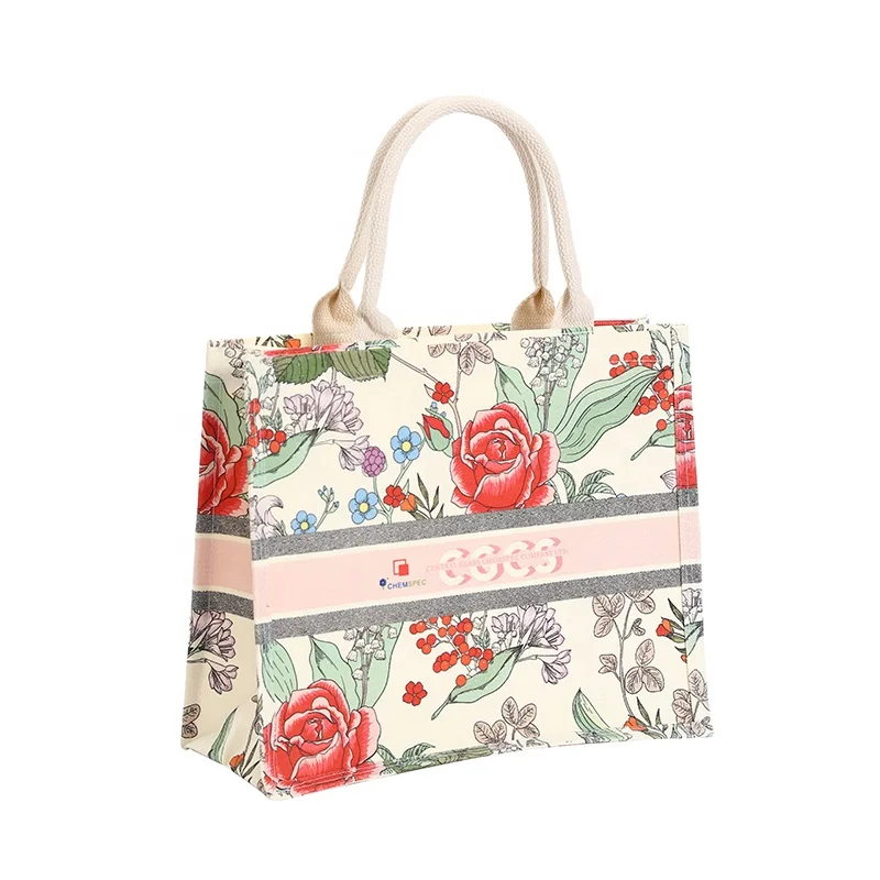 Xien Custom Printing Designer Luxury Large Capacity Women Canvas Book Tote Bag for Ladies