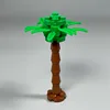 pequeño cocotero