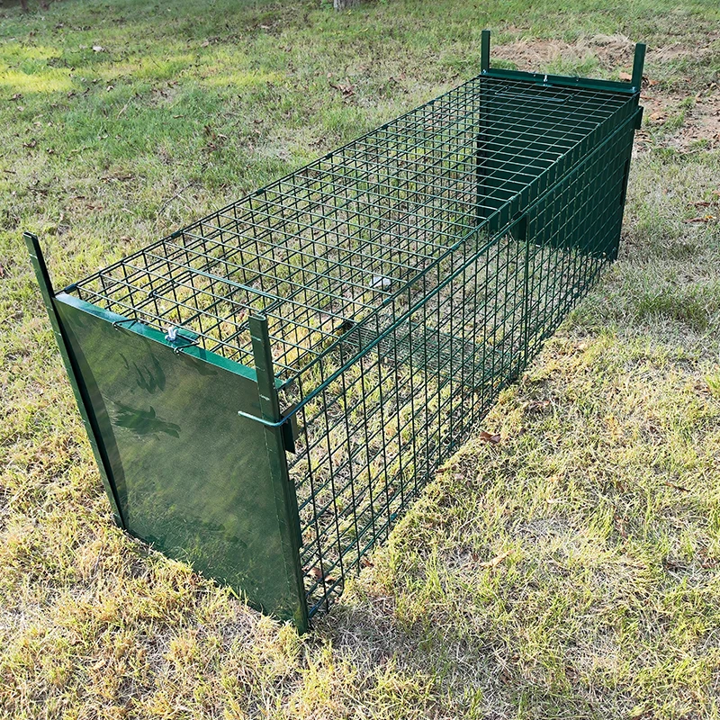 Humane Metal Large Live Wild Coyote Squirrel Rabbit Raccoon Dog Cage Trap Fox Animal Trap Feral Cat Trap Cages for Sale