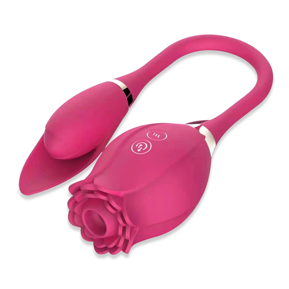 Niusida New Product 2 in 1 Sex Toys for Women Vibrator Female Clitoris Breast Massager Vibrator Rose Long Rose Vibrator