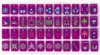 solid purple