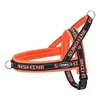 couleur orange