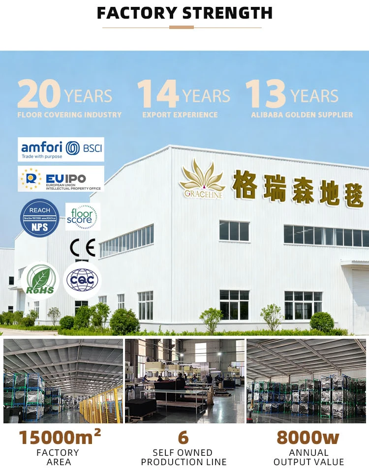 Indoor Outdoor Floor Mat Machine Made Novelty Exercise Nonwoven Super Absorbs TPE Backing Carpet Mat Outdoor Carpet(图1)