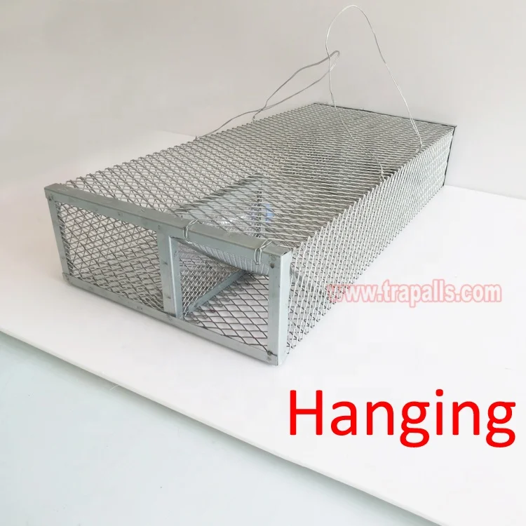 Outdoor Warehouse Metal Live Catch Snake Control Mouse Trap Cage with Two Doors