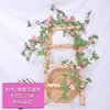 1.8 Enredadera de alambre de margarita * Rosa