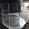 transparent