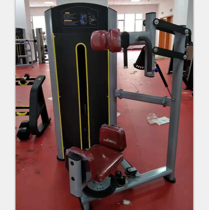 Technogym Rotary Torso