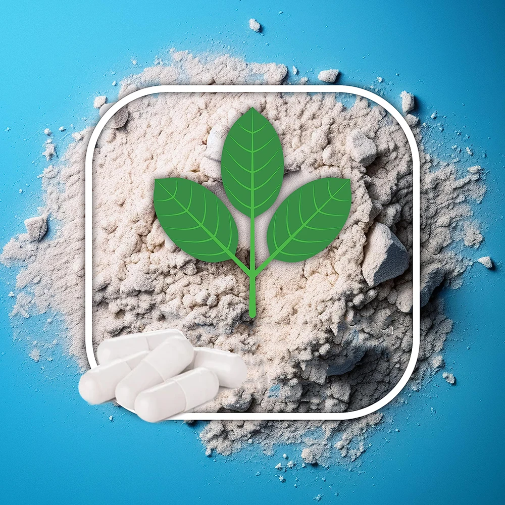 Private Label Zeolite Capsules Zeolite Clinoptilolite Powder Zeolite