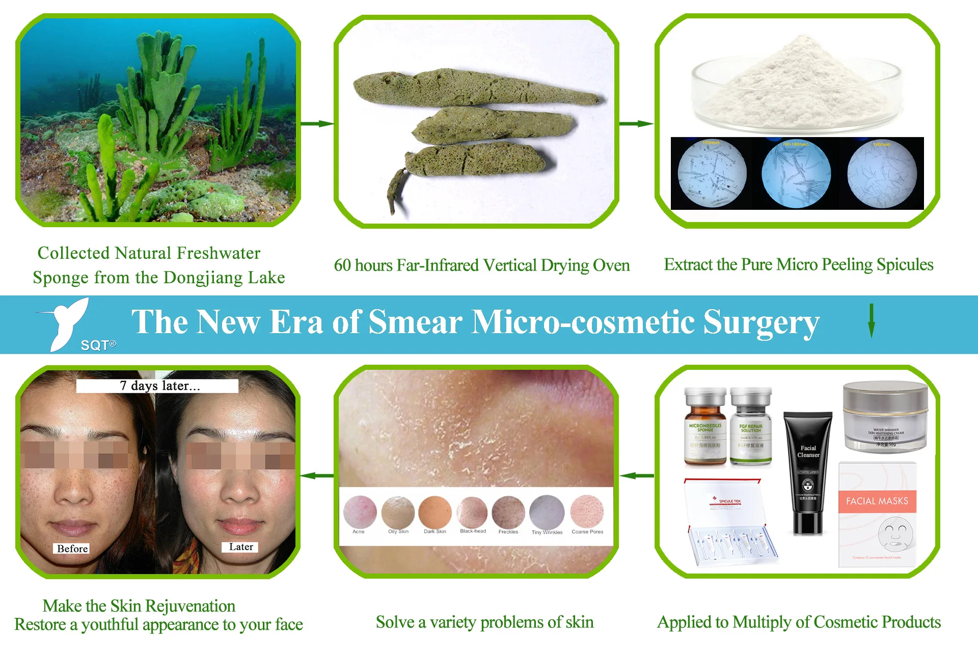 Cosmetics Component Hydrolyzed Sponge Glycoside Spongilla Spicules Powder