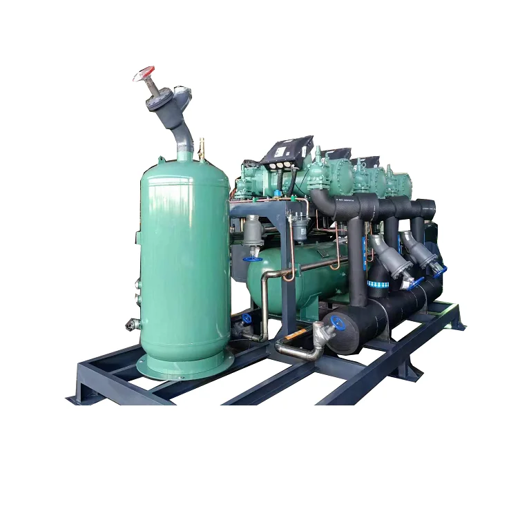 China Supply 4 Parallel Compressor Condensing Unit 40/75HP Screw Compressor Air-cooled Refrigeration Unit of Bitzer Freezer Room