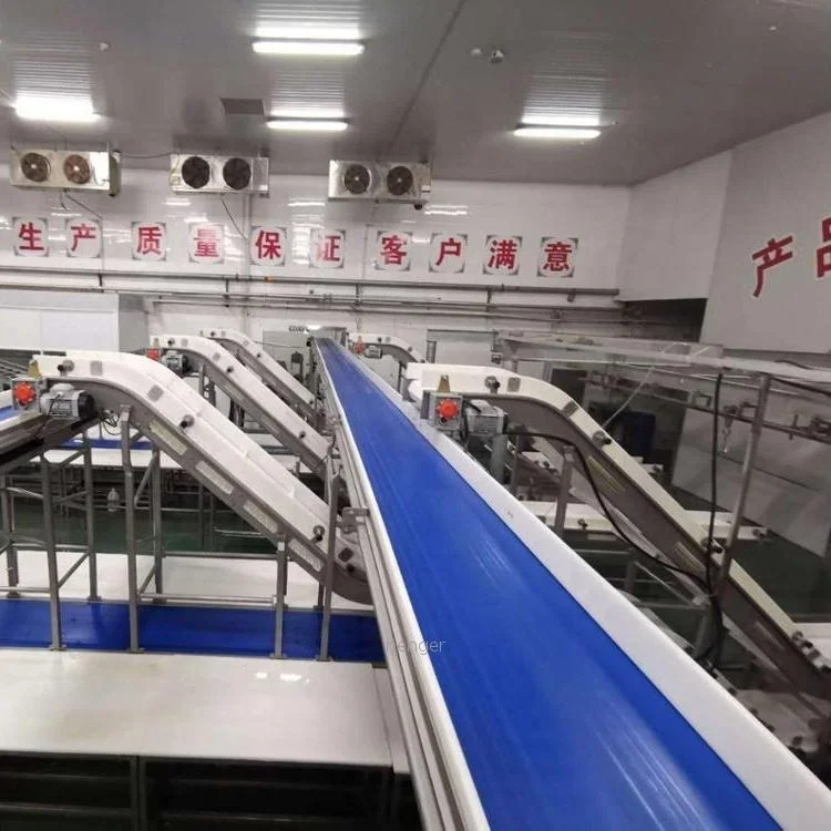 Full Compact Set Automatic Meat Beef Cut Process Poultry Broiler Chicken Slaughter System Belt Conveyor for Plant Slaughterhouse