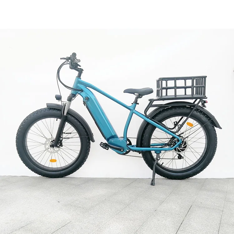 48V 750W Mountain Electric Bicycle Fat Tire Off Road Adults Cycling Ebike