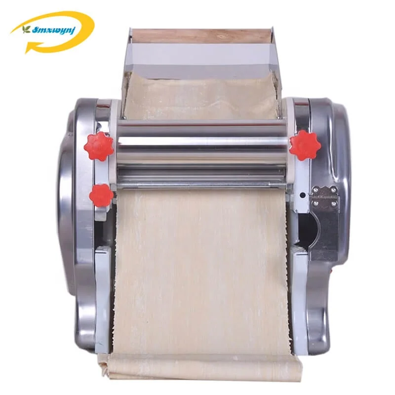 110V Stainless Steel Electric Noodle Making Pasta Maker, Commercial Dough  Roller Noodle Cutting Machine (Dough Width 22cm, Noodle Width 2mm/6mm)