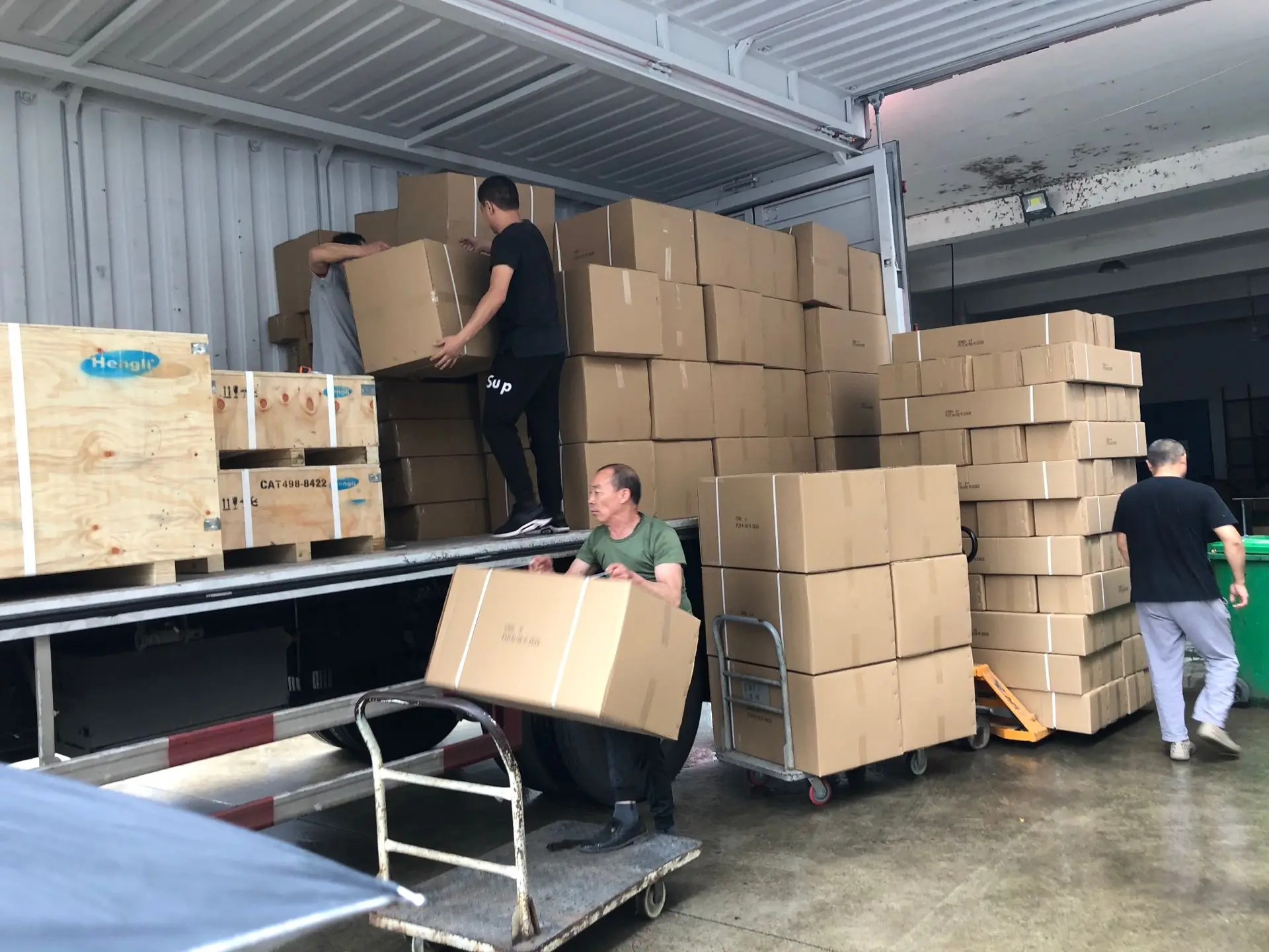 Horse Double Lunge Draw Rein With Snap Hooks Equestrian Saddlery Buy