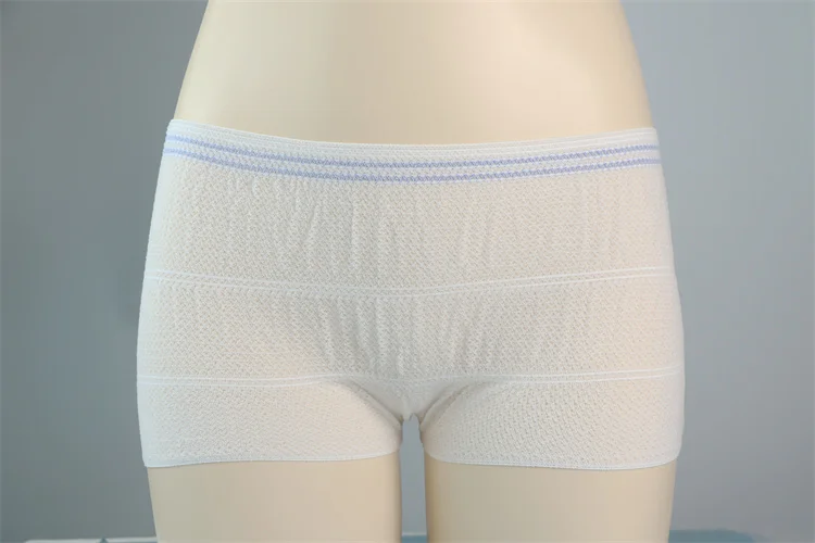 Stretchy Mesh Postpartum Underwear Csection Recovery Briefs Carer High