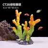 Coral de rama verde