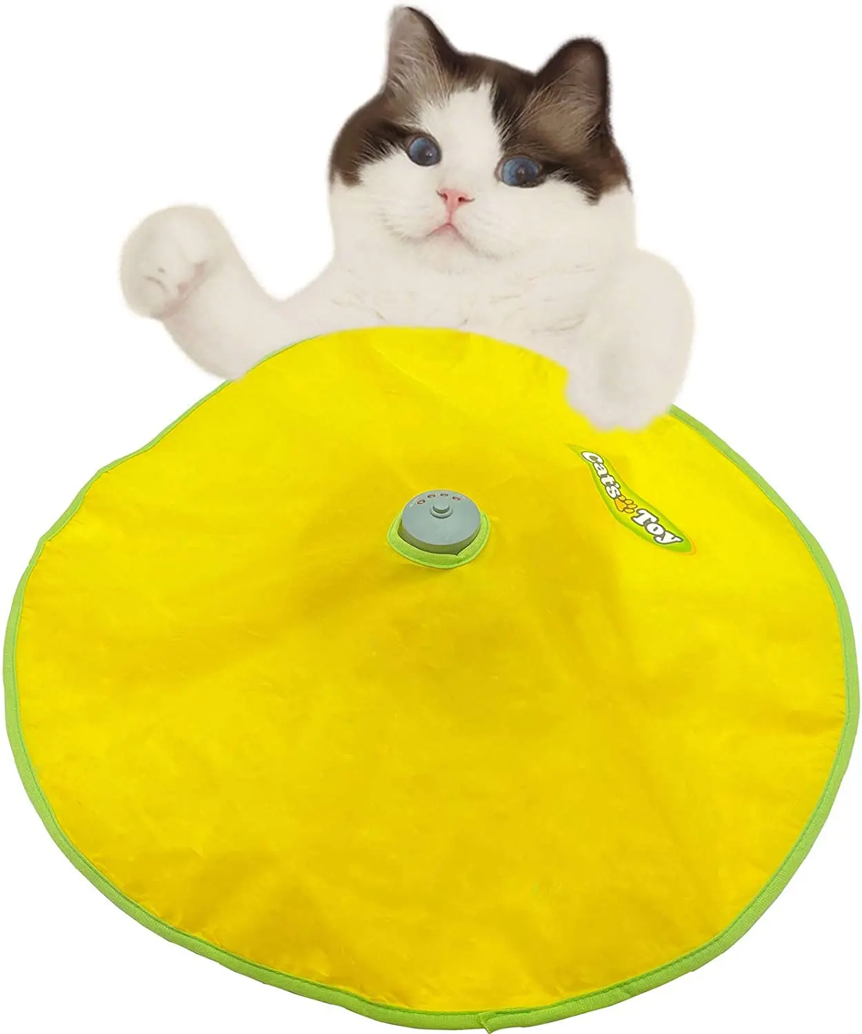 catch the tail cat toy