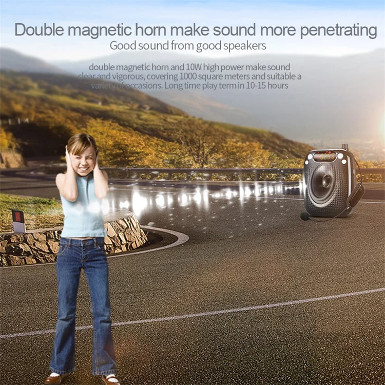 S611 amplifier (3)