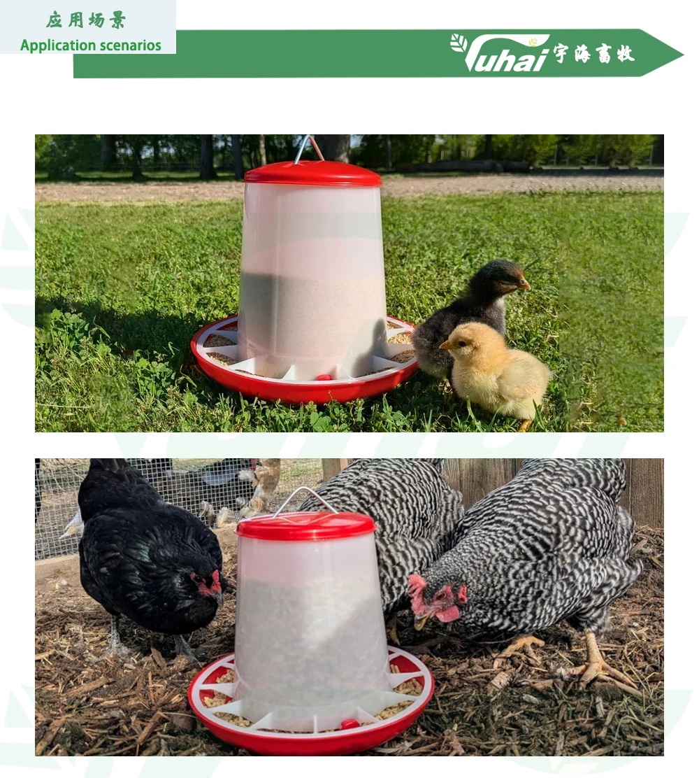 Factory Supply Manual Hanging Plastic Poultry Hen Feeder 3.5kg Red Base for Farm Animal Feeding supplier