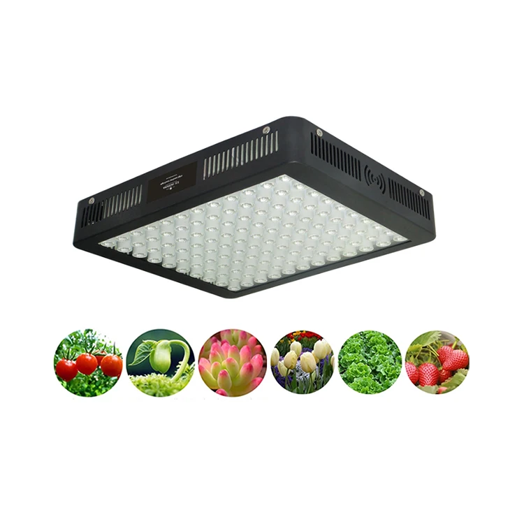 番茄生菜黄瓜草莓芹菜茄子甜椒花椰菜罗勒植株生长led灯 Buy 萝卜韭菜菠菜蝴蝶兰花金线莲adishes大头菜蘑菇生长led灯 番茄 生菜黄瓜草莓芹菜 茄子甜椒花椰菜罗勒种植led灯 萝卜韭菜菠菜蝴蝶兰花金线莲adishes大头菜蘑菇种植led灯product On Alibaba Com