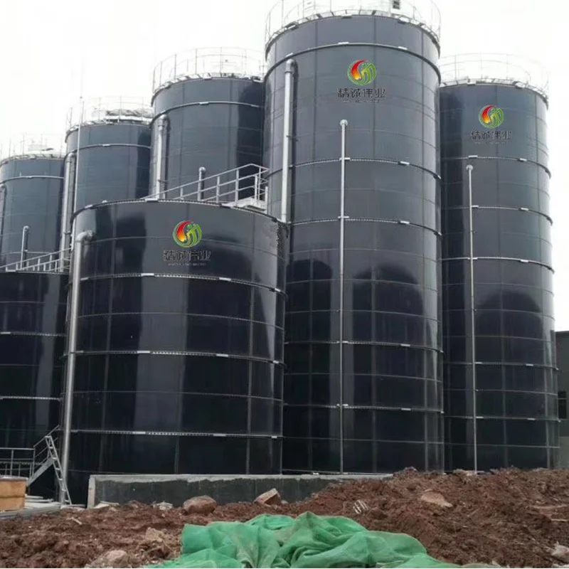 Biogas Digester Home Mini Biogas Digester Biogas Plant Price For Sale ...