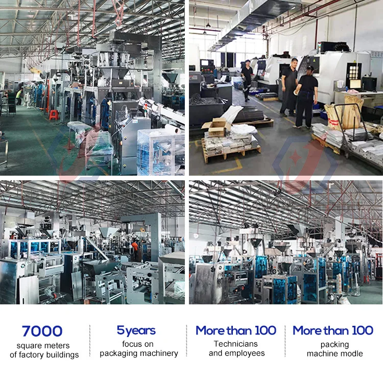 In Stock Automatic Dip Filter Small Nylon Loose Maisa Teabags Packaging Machine
