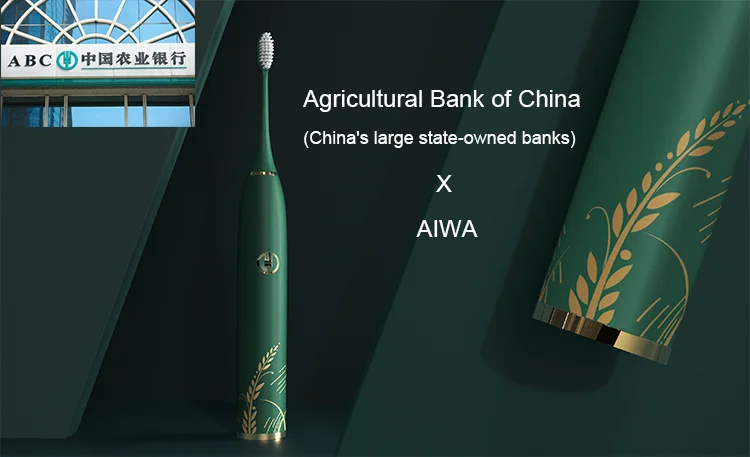 AIWO IPX7 электрическая зубная щетка Водонепроницаемая перезаряжаемая дорожная зубная щетка цвет OEM электрическая зубная щетка для взрослых