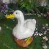 Blanco cálido