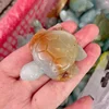 Caribbean calcite