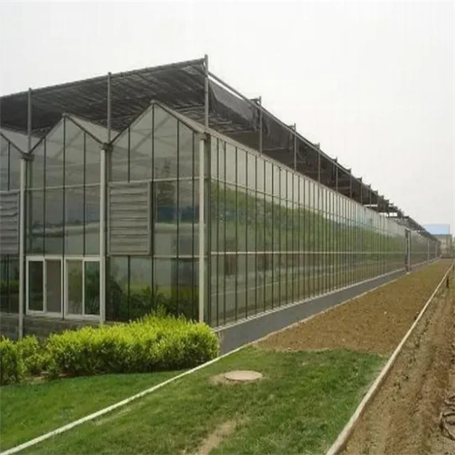 Customized Screen-printed Tempered Glass Panels for Planting and Displaying Hydroponic Cabinets