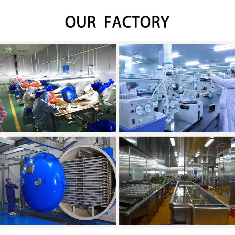 Заводская поставка красные китайские даты для