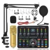 BM800(Gold)+Ai10 sound card