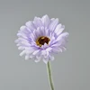 Autunno viola chiaro