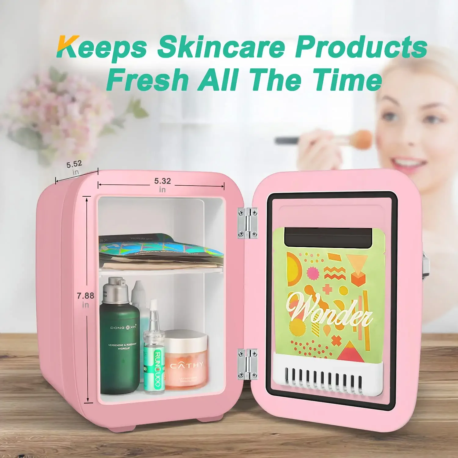 Mini Fridge 4 Liter Electric Cooler And Warmer Ac / Dc Portable Fridge