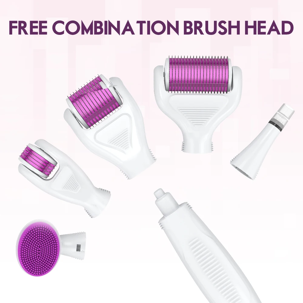 Derma Rolling System Microneedling Kits Drs 6in1 Roller in Different Size for Beauty and Care Home Use