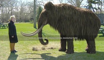 中国　手作り　寿老人　マンモス H55b455554ce742429de94e1c28e2f