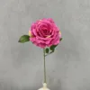 Rosa rossa