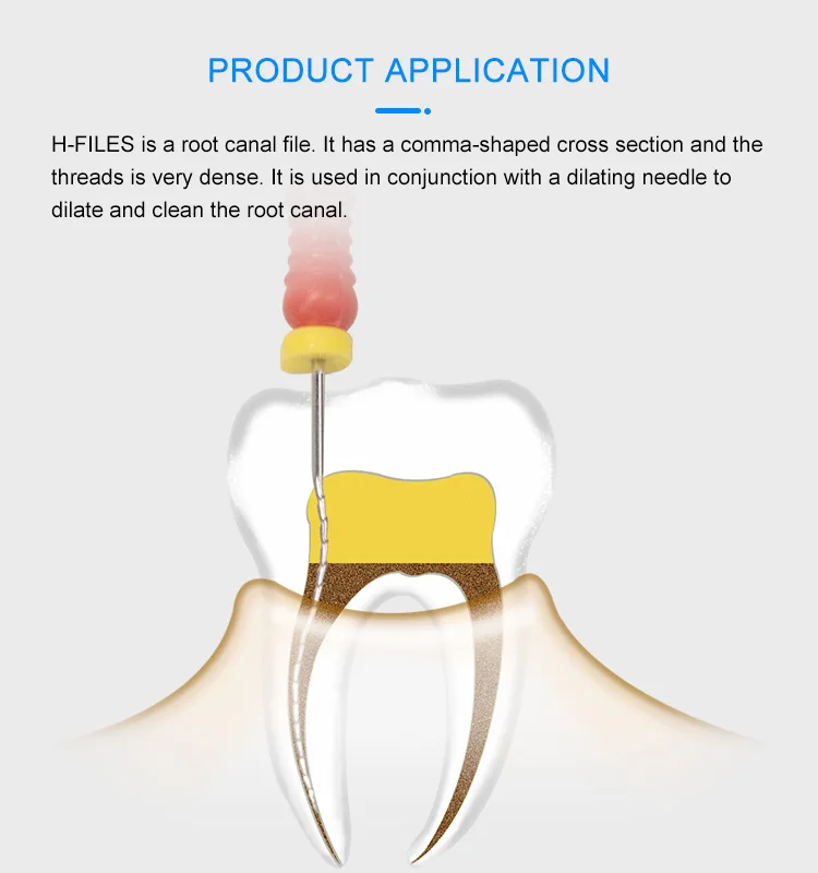 Types Of Rotary Endodontic H File Manual Root Canal File Taper Of ...