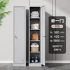 Armoire à une porte à cinq compartiments [gris et blanc]