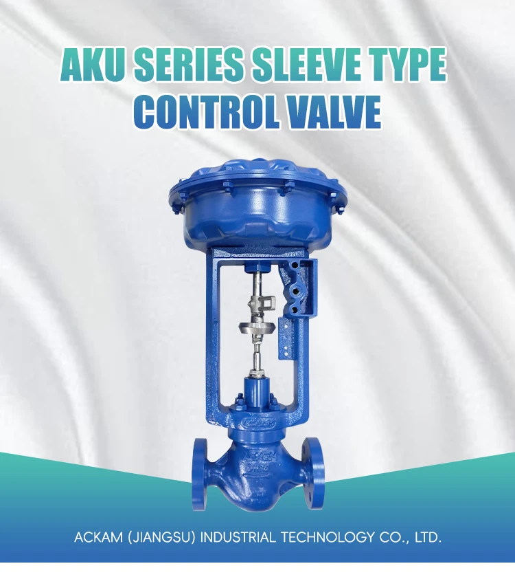 Easy to Assemble and Disassemble Sturdy Control Valves Strong Applicability Cage Control Valve for Oil and Gas manufacture